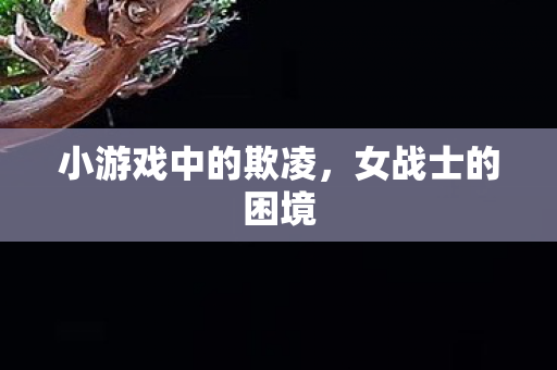 小游戏中的欺凌，女战士的困境