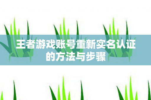 王者游戏账号重新实名认证的方法与步骤