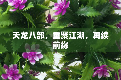 天龙八部，重聚江湖，再续前缘