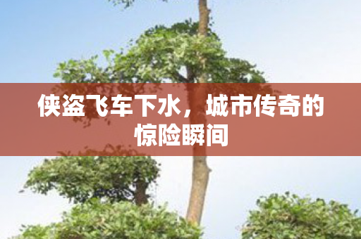 侠盗飞车下水，城市传奇的惊险瞬间