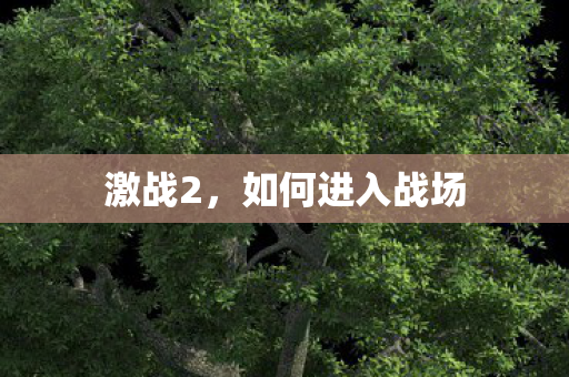 激战2，如何进入战场