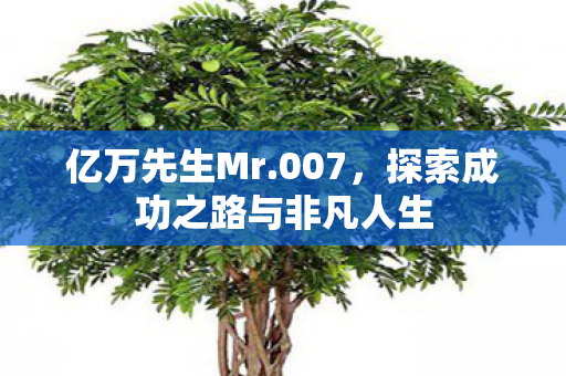 亿万先生Mr.007，探索成功之路与非凡人生