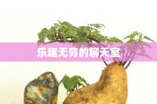 乐趣无穷的聊天室