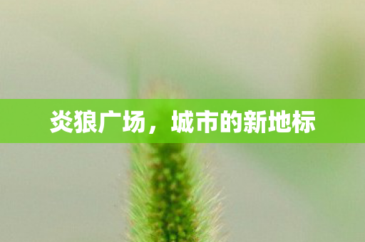 炎狼广场，城市的新地标