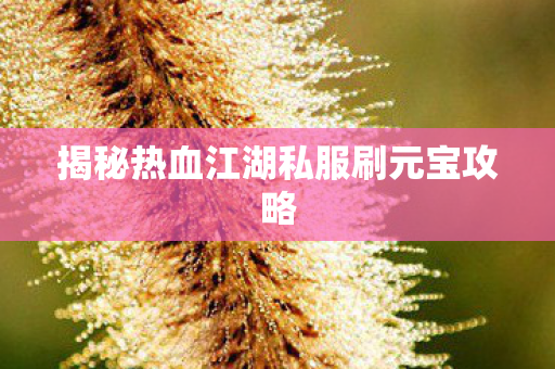 揭秘热血江湖私服刷元宝攻略