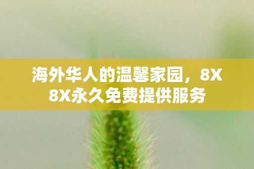 海外华人的温馨家园，8X8X永久免费提供服务
