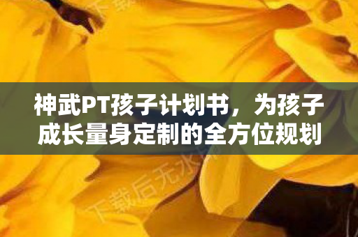 神武PT孩子计划书，为孩子成长量身定制的全方位规划