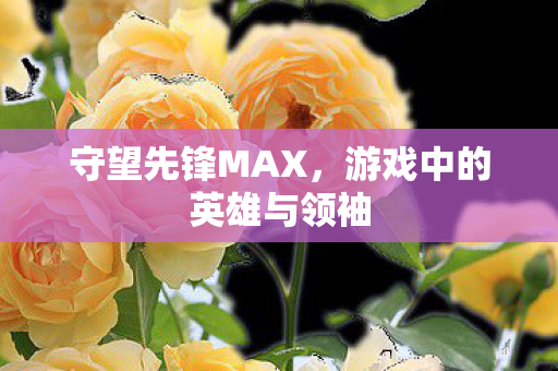 守望先锋MAX，游戏中的英雄与领袖