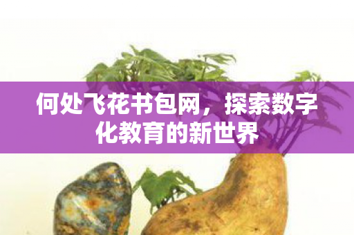 何处飞花书包网，探索数字化教育的新世界