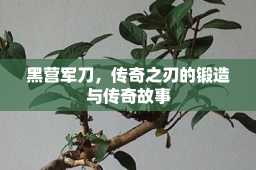 黑营军刀，传奇之刃的锻造与传奇故事