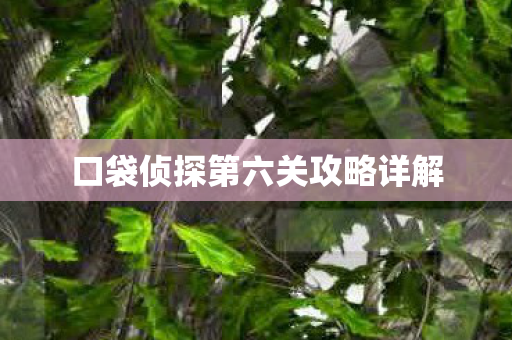 口袋侦探第六关攻略详解