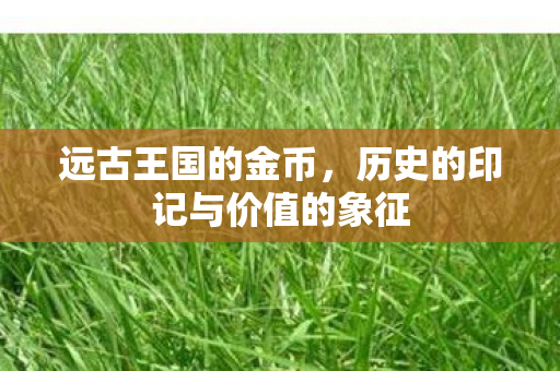 远古王国的金币，历史的印记与价值的象征