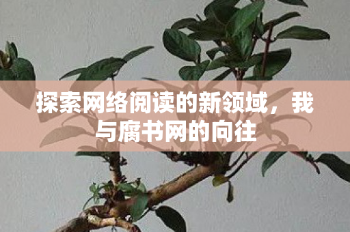 探索网络阅读的新领域，我与腐书网的向往