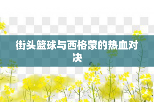 街头篮球与西格蒙的热血对决