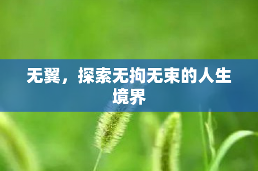 无翼，探索无拘无束的人生境界