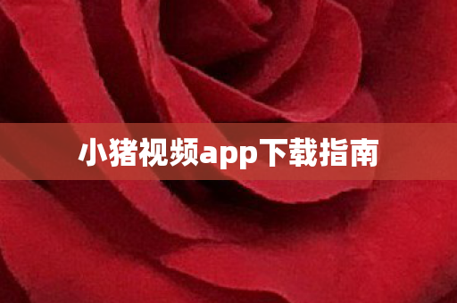 小猪视频app下载指南