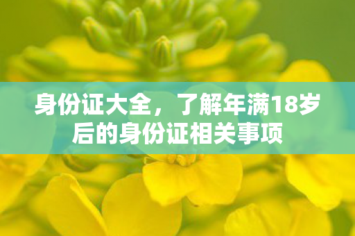 身份证大全，了解年满18岁后的身份证相关事项
