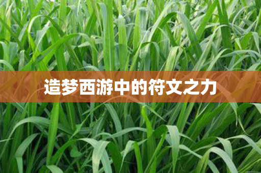 造梦西游中的符文之力