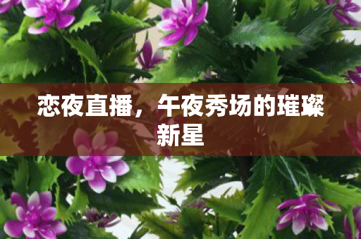 恋夜直播，午夜秀场的璀璨新星