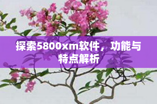 探索5800xm软件，功能与特点解析