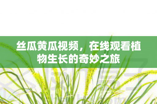丝瓜黄瓜视频，在线观看植物生长的奇妙之旅
