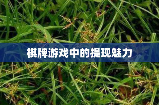 棋牌游戏中的提现魅力