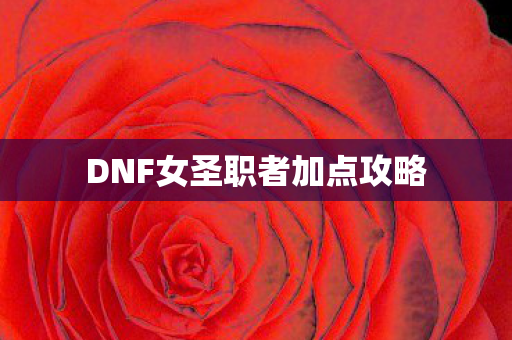 DNF女圣职者加点攻略