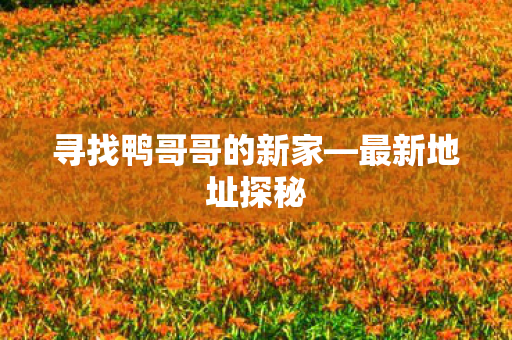 寻找鸭哥哥的新家—最新地址探秘