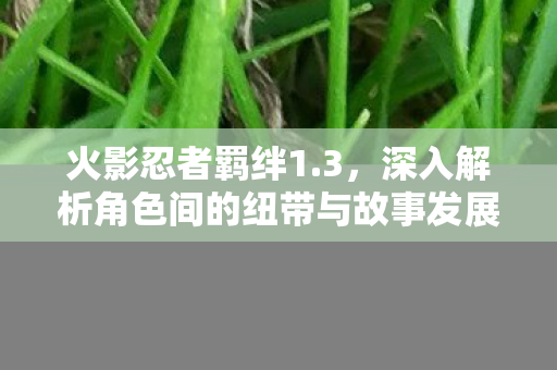 火影忍者羁绊1.3，深入解析角色间的纽带与故事发展