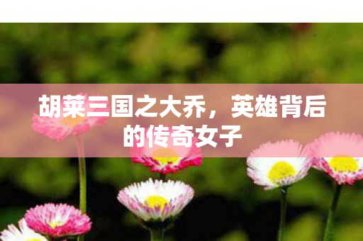 胡莱三国之大乔，英雄背后的传奇女子