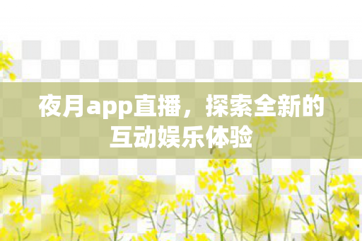 夜月app直播，探索全新的互动娱乐体验