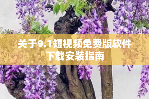 关于9.1短视频免费版软件下载安装指南
