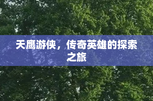 天鹰游侠，传奇英雄的探索之旅