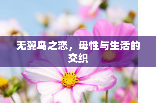 无翼鸟之恋，母性与生活的交织