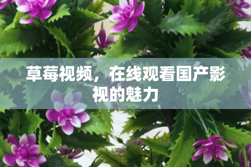 草莓视频，在线观看国产影视的魅力