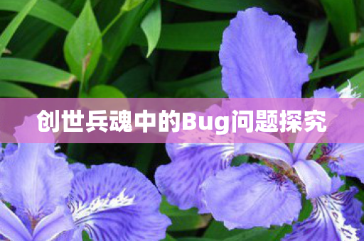 创世兵魂中的Bug问题探究