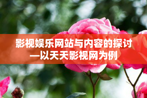 影视娱乐网站与内容的探讨—以天天影视网为例