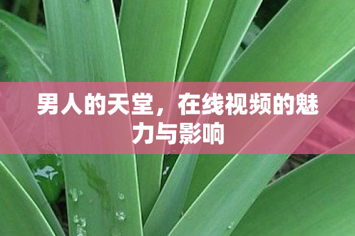 男人的天堂，在线视频的魅力与影响