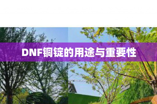 DNF铜锭的用途与重要性