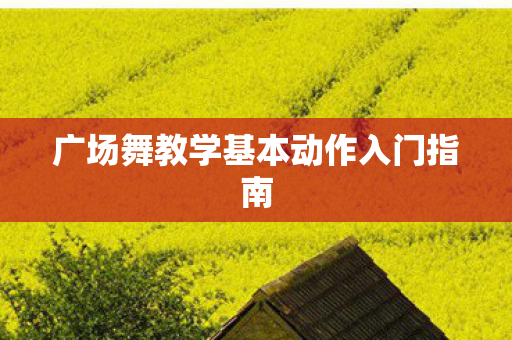 广场舞教学基本动作入门指南