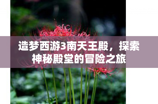造梦西游3南天王殿，探索神秘殿堂的冒险之旅