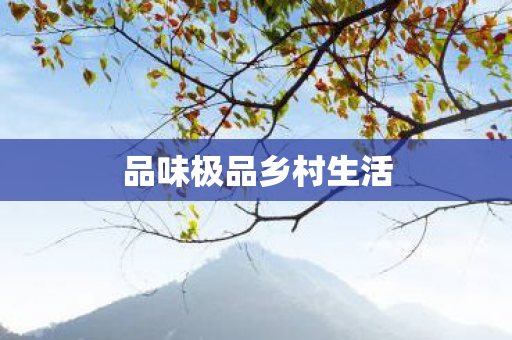 品味极品乡村生活