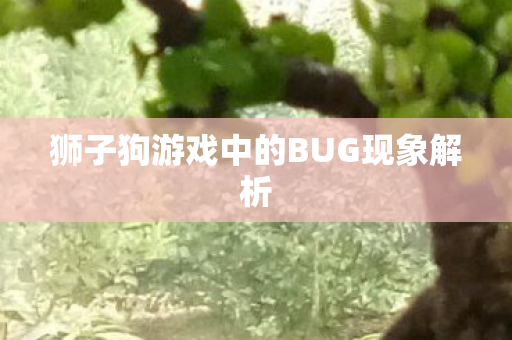 狮子狗游戏中的BUG现象解析