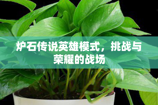 炉石传说英雄模式，挑战与荣耀的战场