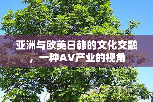 亚洲与欧美日韩的文化交融，一种AV产业的视角