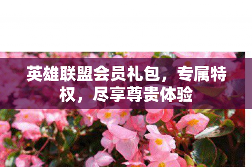 英雄联盟会员礼包，专属特权，尽享尊贵体验