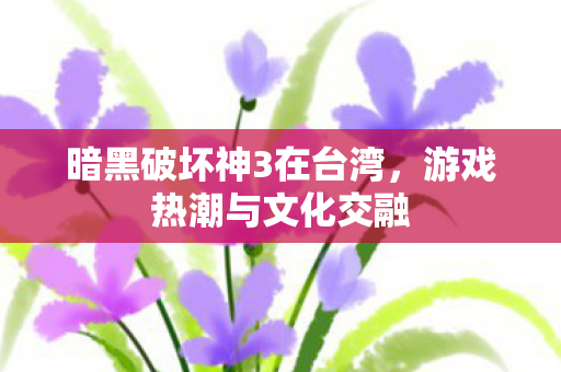 暗黑破坏神3在台湾，游戏热潮与文化交融