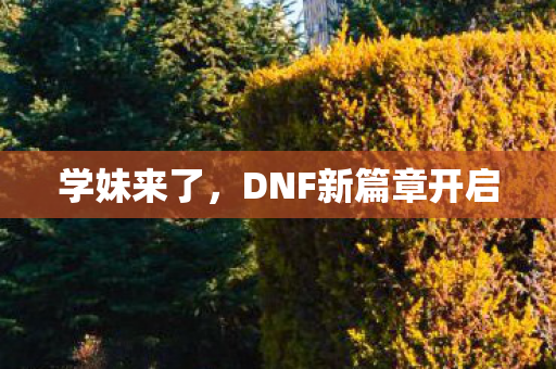 学妹来了，DNF新篇章开启
