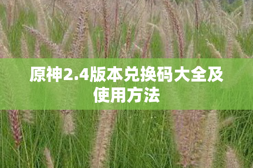 原神2.4版本兑换码大全及使用方法