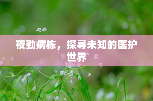 夜勤病栋，探寻未知的医护世界